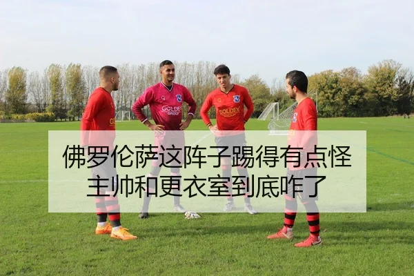 fo-luo-lun-sa-zhe-zhen-zi-ti-de-you-dian-guai-zhu-shuai-he-geng-yi-shi-dao-di-za-le-2-161.jpg
