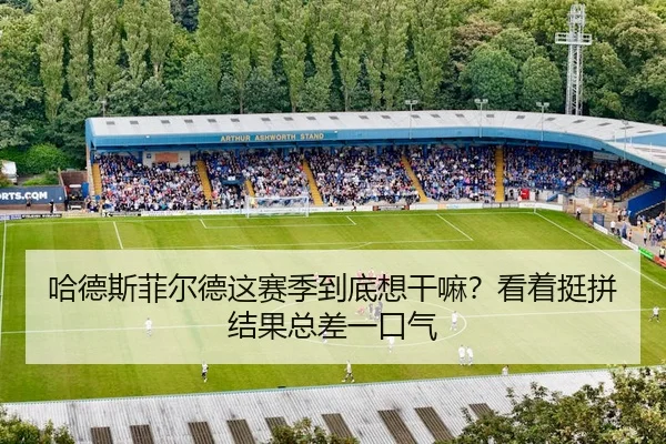 哈德斯菲尔德这赛季到底想干嘛？看着挺拼结果总差一口气