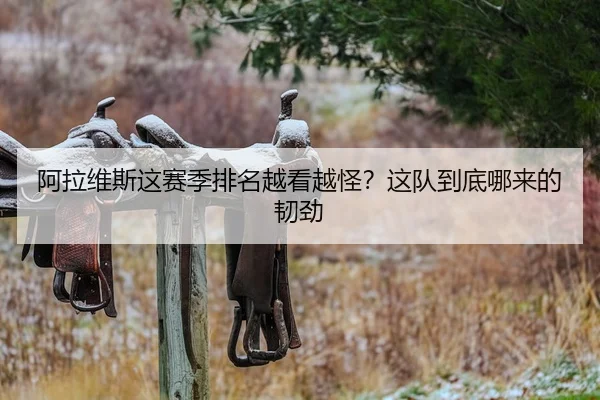 阿拉维斯这赛季排名越看越怪？这队到底哪来的韧劲