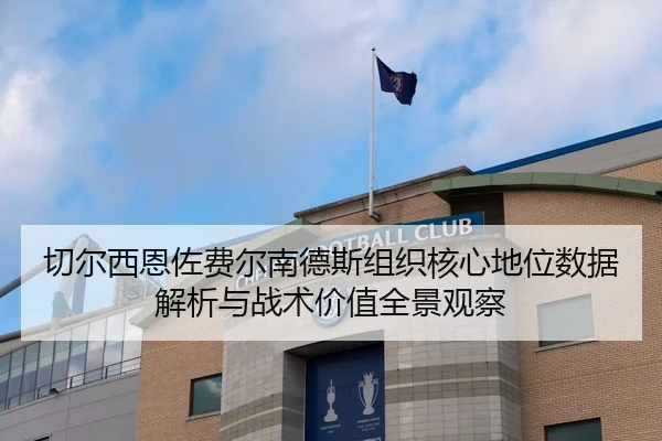 切尔西恩佐费尔南德斯组织核心地位数据解析与战术价值全景观察