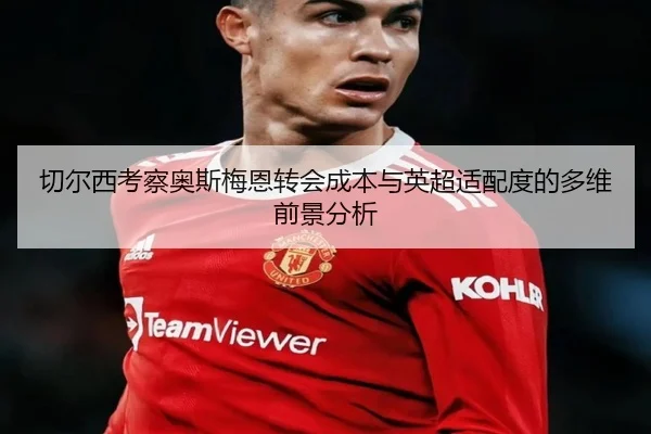 切尔西考察奥斯梅恩转会成本与英超适配度的多维前景分析