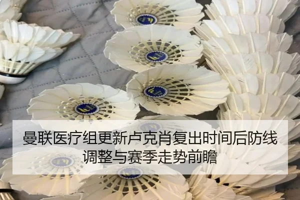 曼联医疗组更新卢克肖复出时间后防线调整与赛季走势前瞻