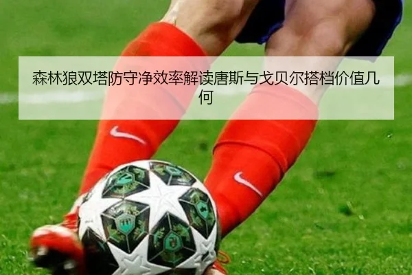 森林狼双塔防守净效率解读唐斯与戈贝尔搭档价值几何
