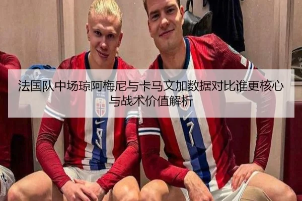 法国队中场琼阿梅尼与卡马文加数据对比谁更核心与战术价值解析