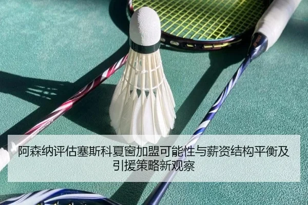 阿森纳评估塞斯科夏窗加盟可能性与薪资结构平衡及引援策略新观察（kaiyun）