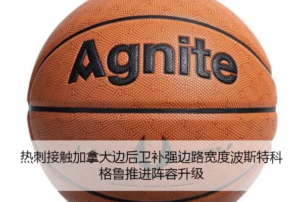 热刺接触加拿大边后卫补强边路宽度波斯特科格鲁推进阵容升级